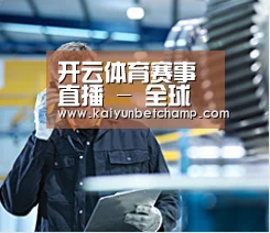 研发能力标题四