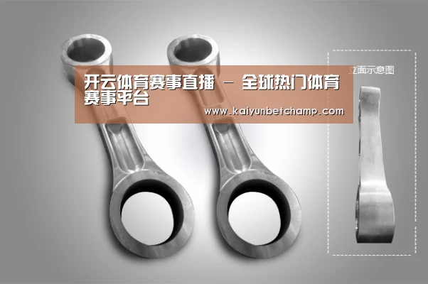 产品展示标题五(图1)