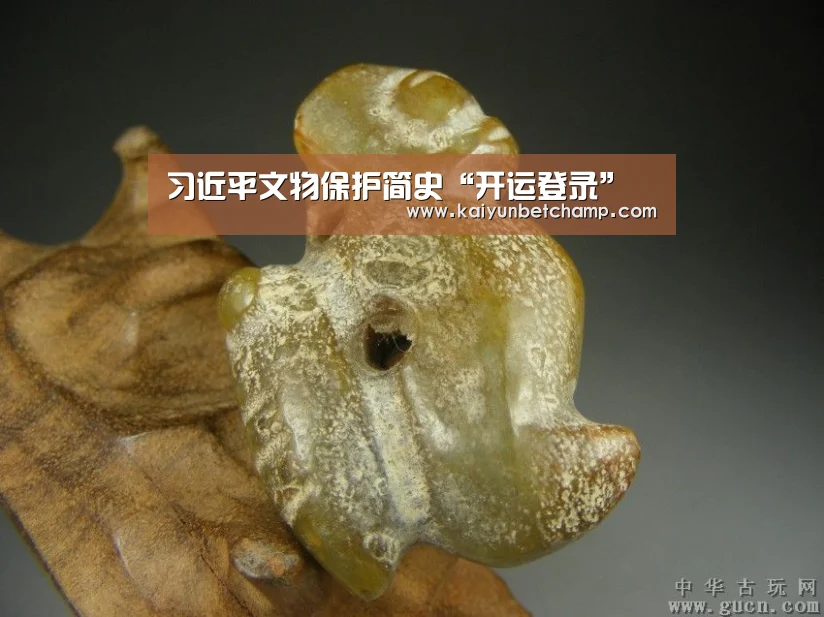 习近平文物保护简史“开运登录”(图3) 开运APP
