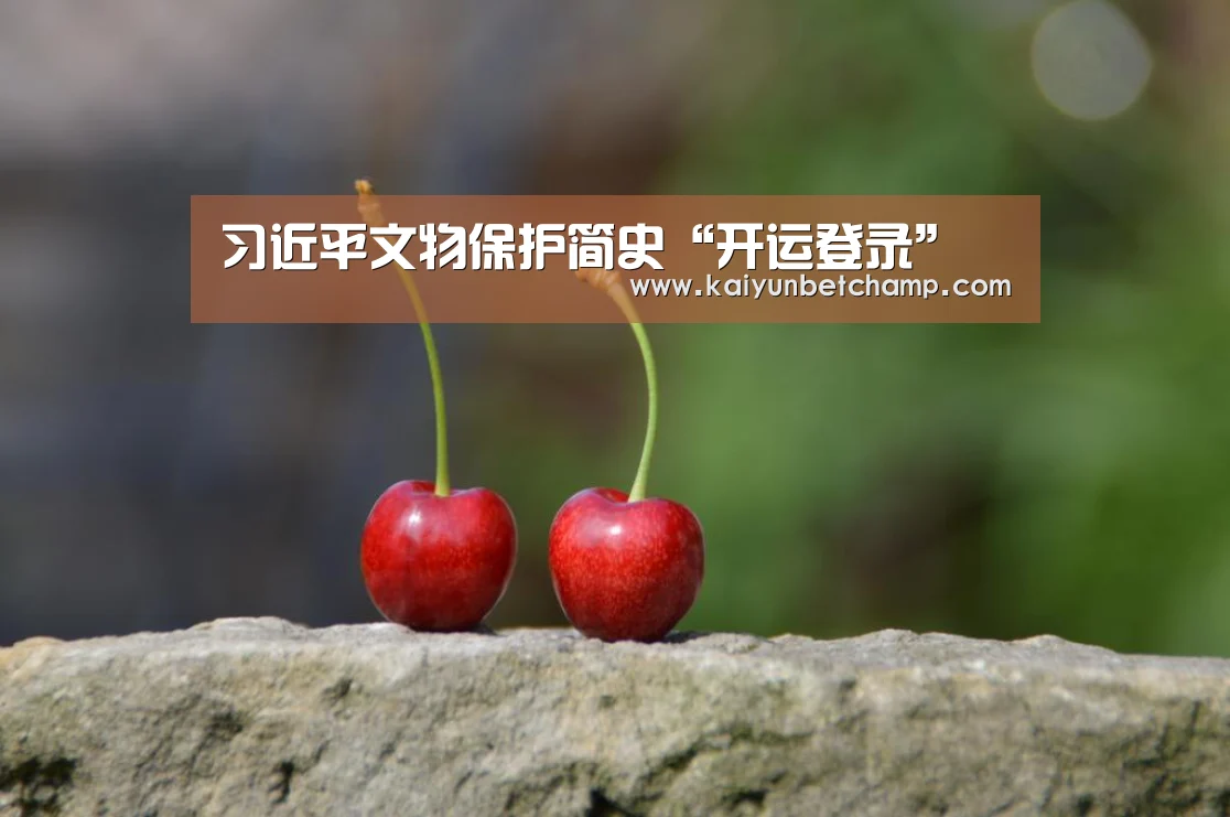 习近平文物保护简史“开运登录”(图4) 开运APP